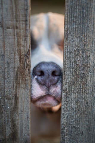 Photo by curiousmike1300