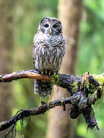 Photo by Michael Jardine