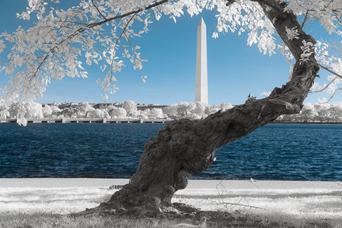 Photo by Washington Monument
