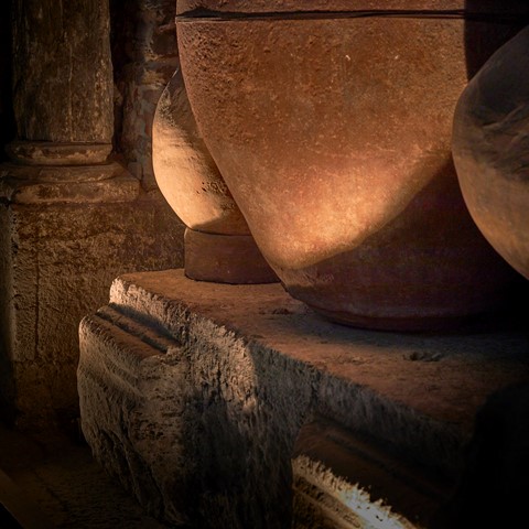 Photo by catastrophe