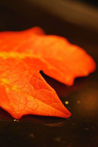 Photo by Tim Reidy Productions