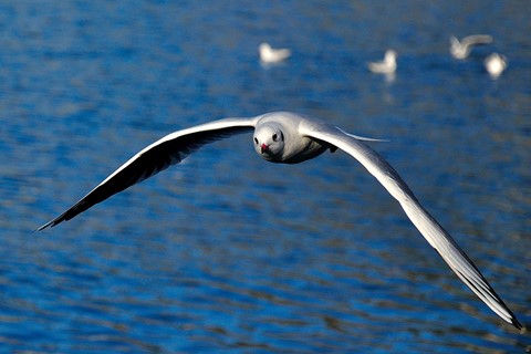 Photo by Murat ÜNSAL
