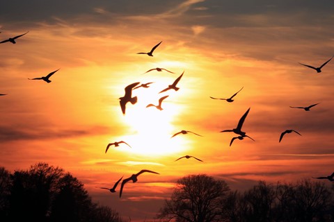 Photo by matthias jurisch