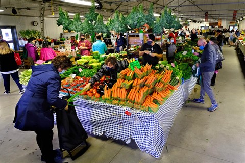 Photo by Steven Lungley