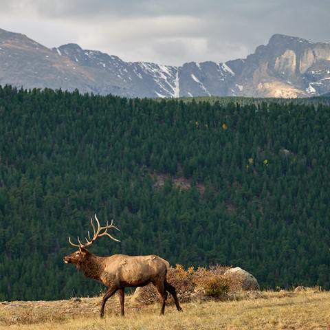 Photo by georgehudetz