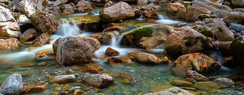 Photo by Frank Bodewig