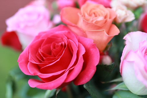 Photo by cheenachatze