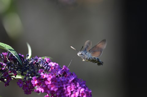 Photo by jean-jacques