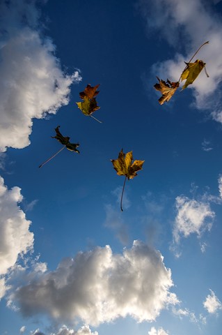 Photo by jonestheroad