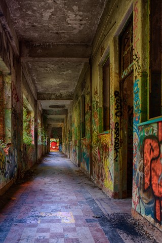 Photo by Frank van Eck