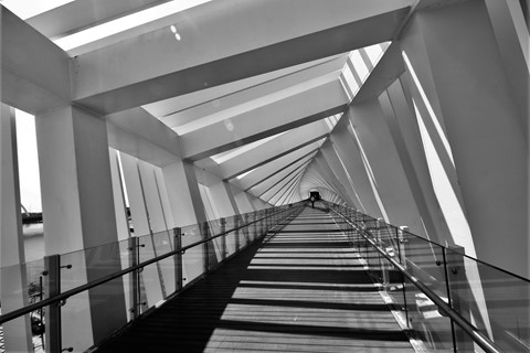 Photo by Nilesh Trivedi