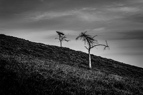 Photo by CharlieGMorr