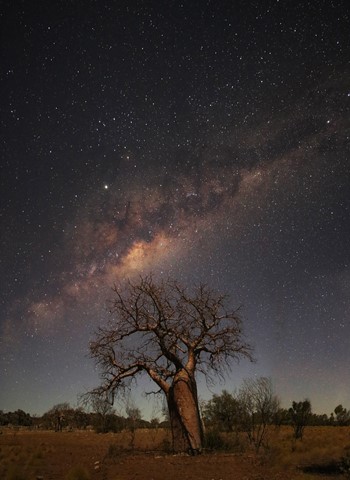 Photo by Jill Hancock