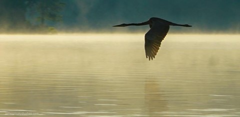 Photo by jamespinsky