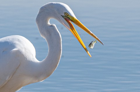 Photo by Olympus-Panasonic Fan Boy