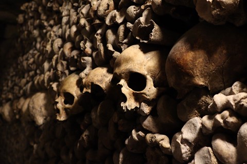 Photo by cheenachatze