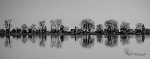 Photo by ROMuscarella