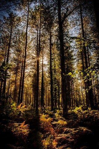 Photo by CharlieGMorr