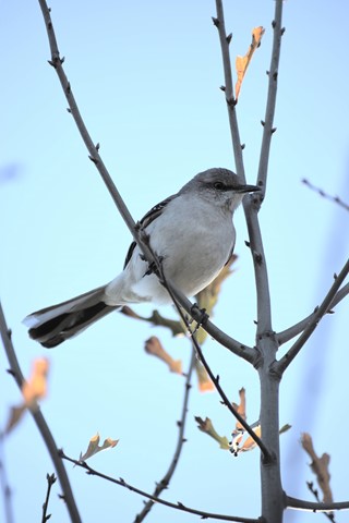 Photo by William Walters