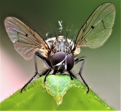 Photo by Deadfisheye