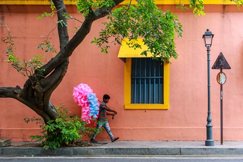 Photo by UdayanSankarPal