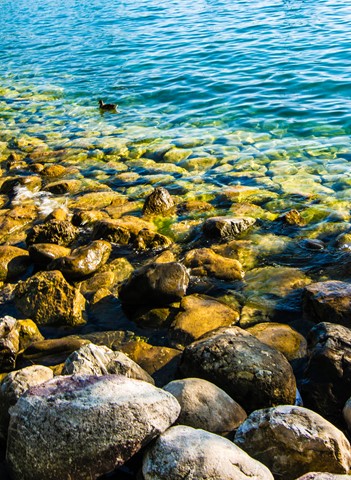 Photo by sameerdeshpande