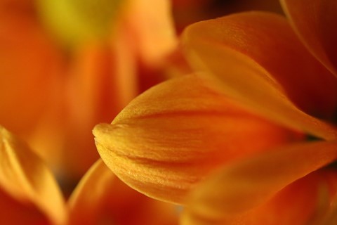 Photo by cheenachatze