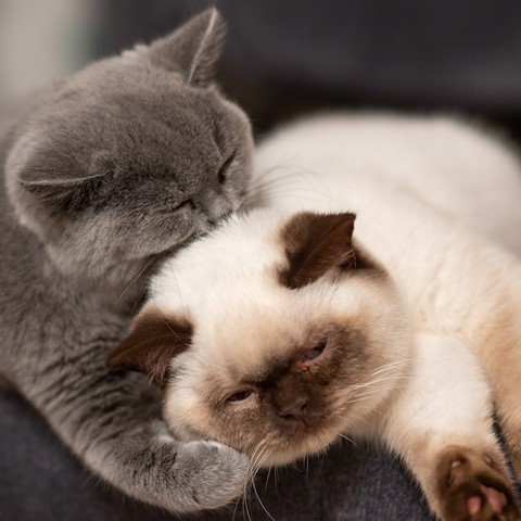 Photo by themountainphotographer