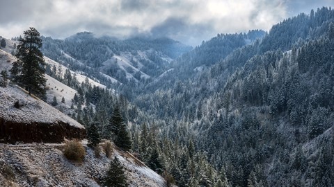 Photo by Snow Covered Pines