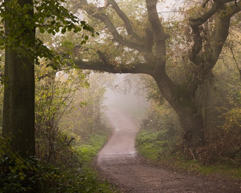 Photo by Misty Morning