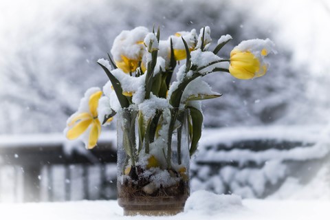 Photo by Richard Carande