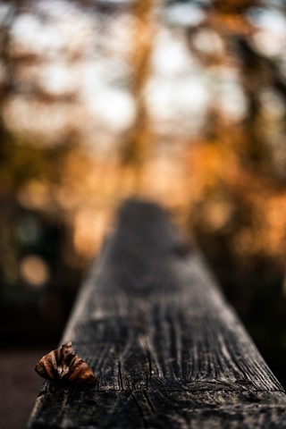 Photo by themountainphotographer