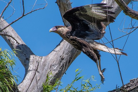 Photo by jaime shayo