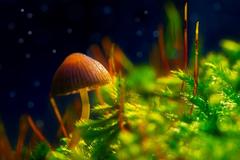 Photo by SpartanWarrior