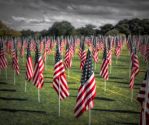 Photo by Mitchmeister