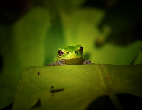 Photo by Madeleine Hart