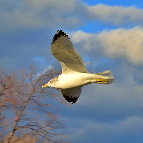 Photo by Fard Ali 9899592636