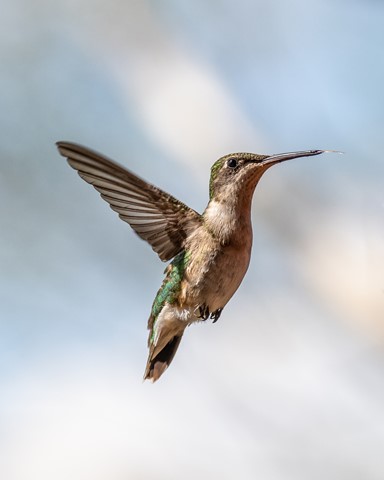 Photo by jmiller1948