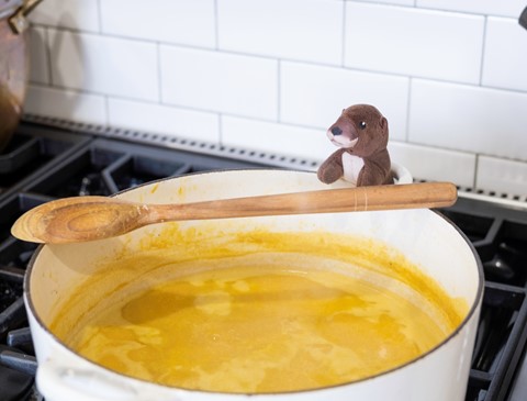 Photo by johncecilian