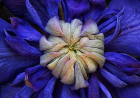 Photo by Madeleine Hart