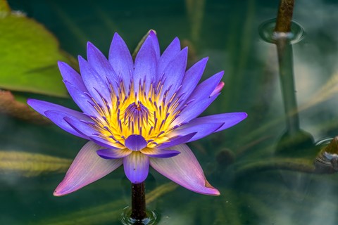 Photo by Sagittarius