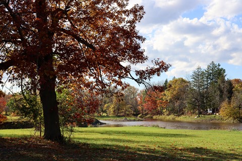 Photo by cheenachatze