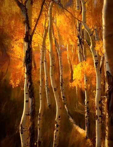 Photo by James Korringa