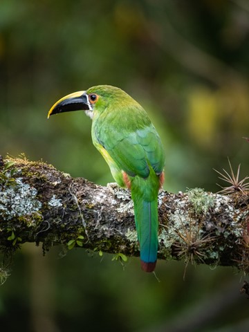 Photo by fotosclasicas