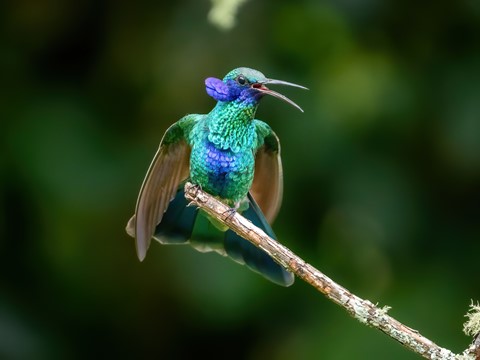 Photo by fotosclasicas