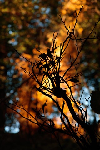 Photo by themountainphotographer