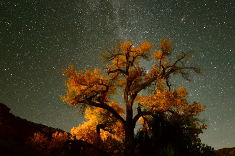 Photo by abiquiuense