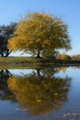 Photo by photonut2008