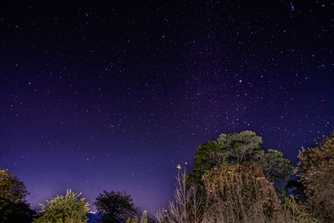 Photo by SamadMehmood