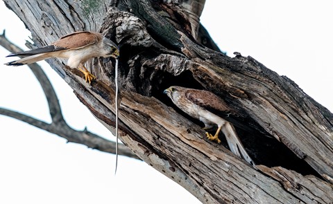 Photo by backayonder